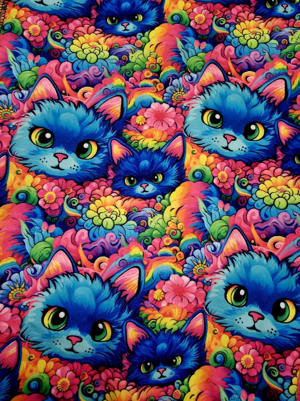 Feline Fluffy Casuals